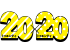 20×20